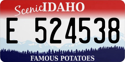 ID license plate E524538