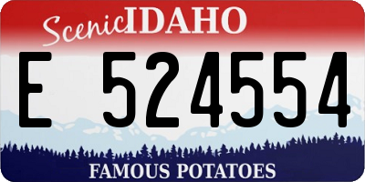 ID license plate E524554