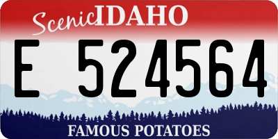 ID license plate E524564