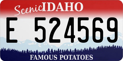 ID license plate E524569
