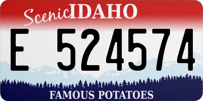 ID license plate E524574