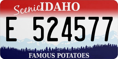 ID license plate E524577