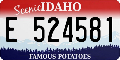 ID license plate E524581