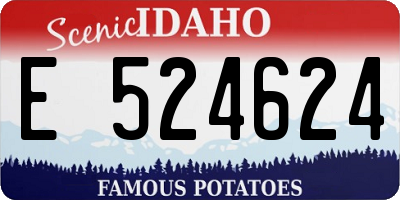 ID license plate E524624