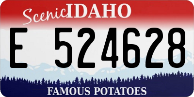 ID license plate E524628