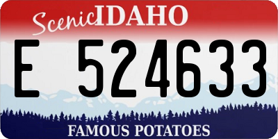 ID license plate E524633