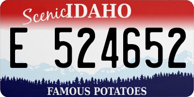 ID license plate E524652