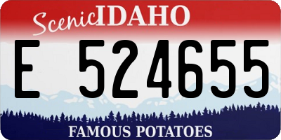 ID license plate E524655