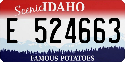 ID license plate E524663