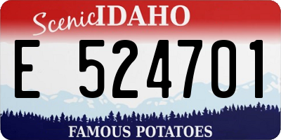 ID license plate E524701