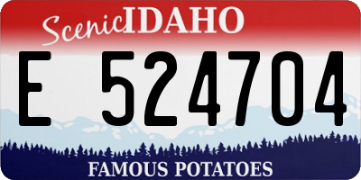 ID license plate E524704