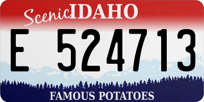 ID license plate E524713