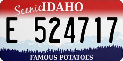 ID license plate E524717