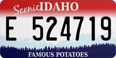 ID license plate E524719