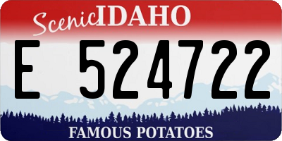 ID license plate E524722