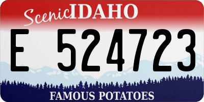 ID license plate E524723
