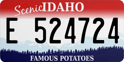 ID license plate E524724