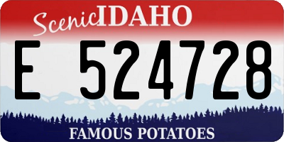 ID license plate E524728