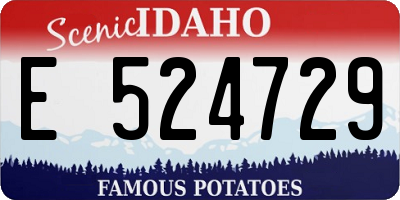 ID license plate E524729