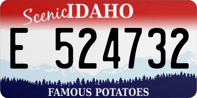 ID license plate E524732