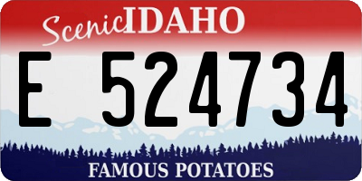 ID license plate E524734