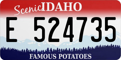 ID license plate E524735