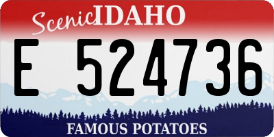 ID license plate E524736