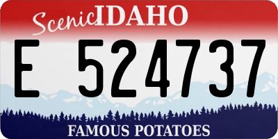 ID license plate E524737