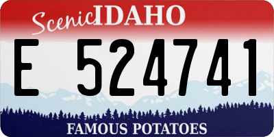 ID license plate E524741