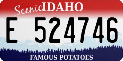 ID license plate E524746