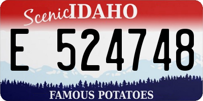 ID license plate E524748