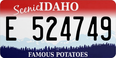 ID license plate E524749