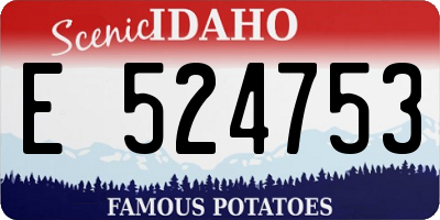 ID license plate E524753