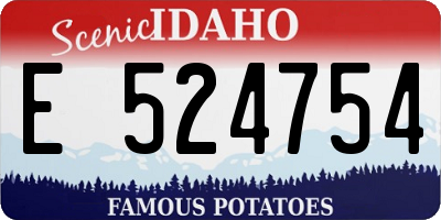 ID license plate E524754