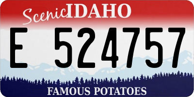 ID license plate E524757