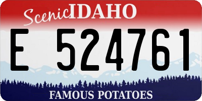 ID license plate E524761