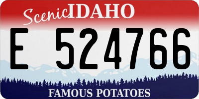 ID license plate E524766
