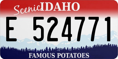 ID license plate E524771