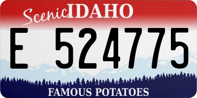 ID license plate E524775