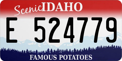 ID license plate E524779
