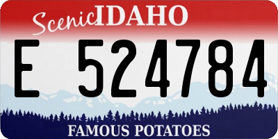 ID license plate E524784