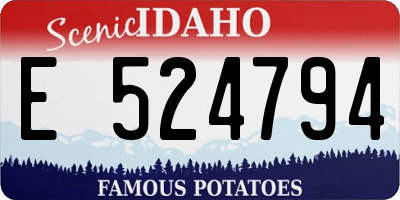 ID license plate E524794