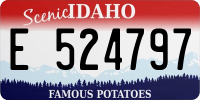 ID license plate E524797