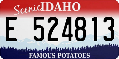 ID license plate E524813