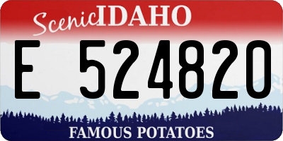 ID license plate E524820