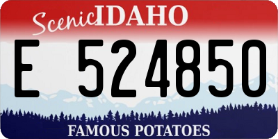 ID license plate E524850