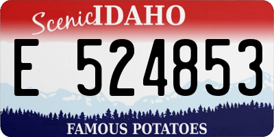 ID license plate E524853