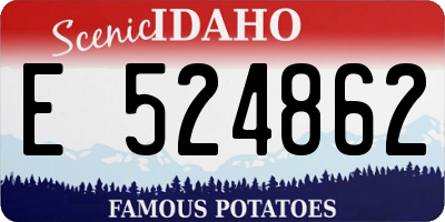 ID license plate E524862