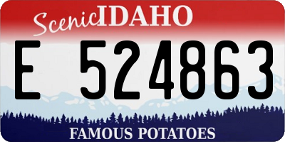 ID license plate E524863