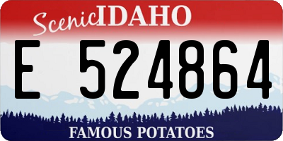ID license plate E524864